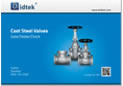 CSV-1001 cast steel valves